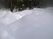 Sunriver Jan 06a 111 